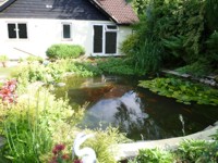 Pond with retaining wall